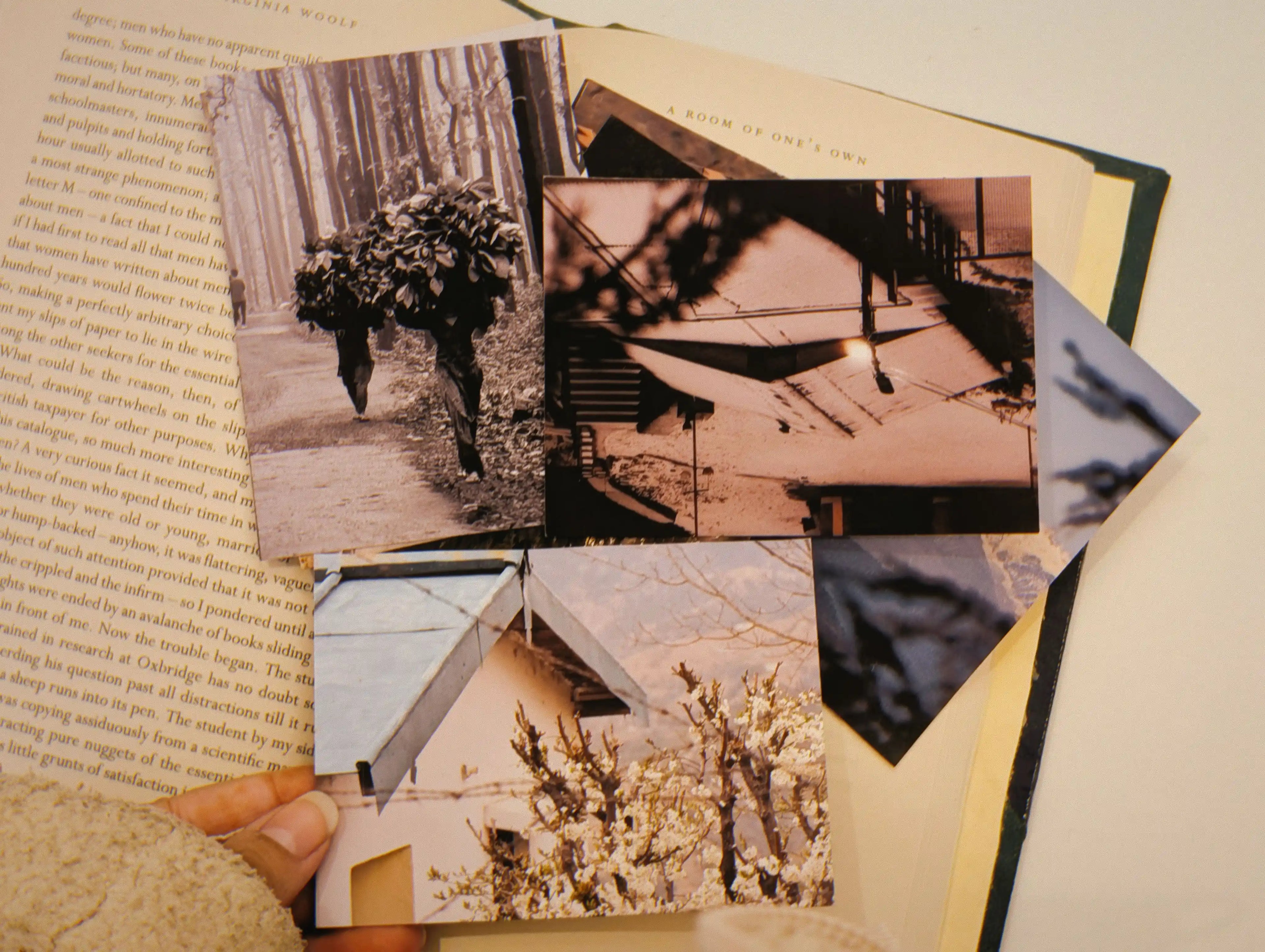  A collection of sepia-toned photo prints featuring nature and architecture scenes, held over an open book.
