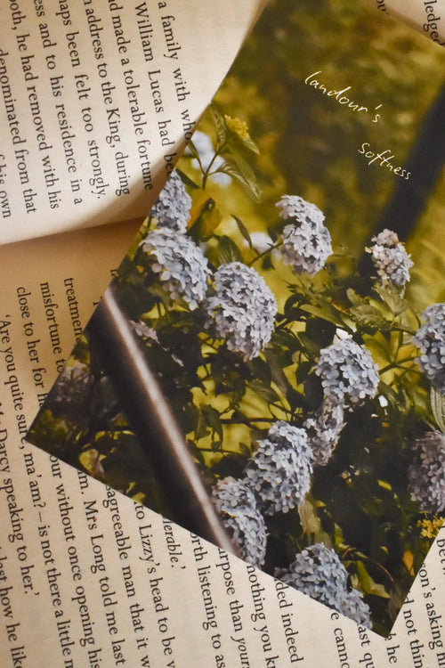 Macro detail shot of the 'Landour's Softness' Hydrangea Photo Print resting on the pages of a book, highlighting the delicate blue hydrangea petals and the poetic text overlay.