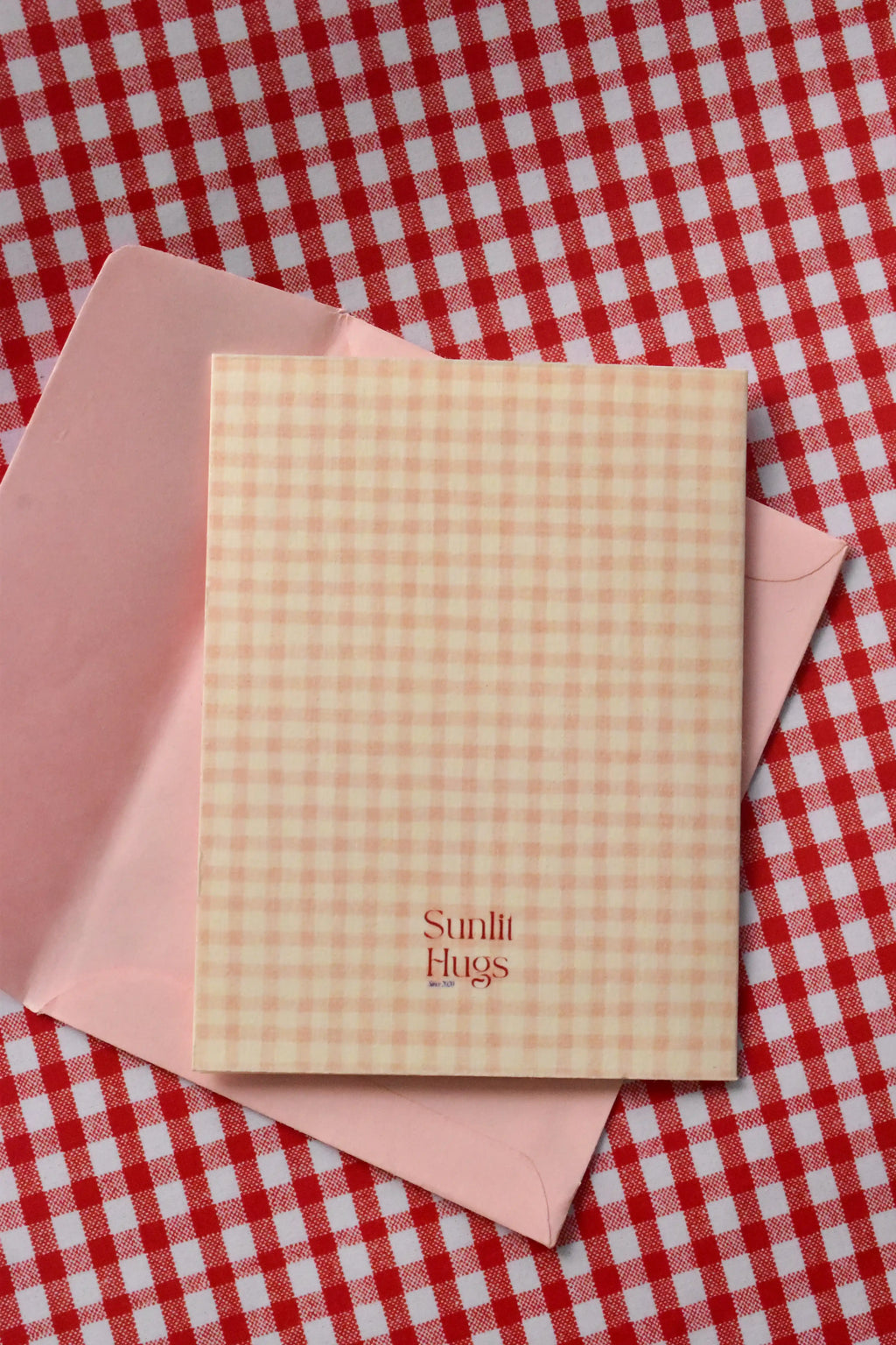 A clear view of the back of the 'Happy Birthday Cutie' card, displaying the continuous pink and cream gingham design and the Sunlit Hugs brand logo.