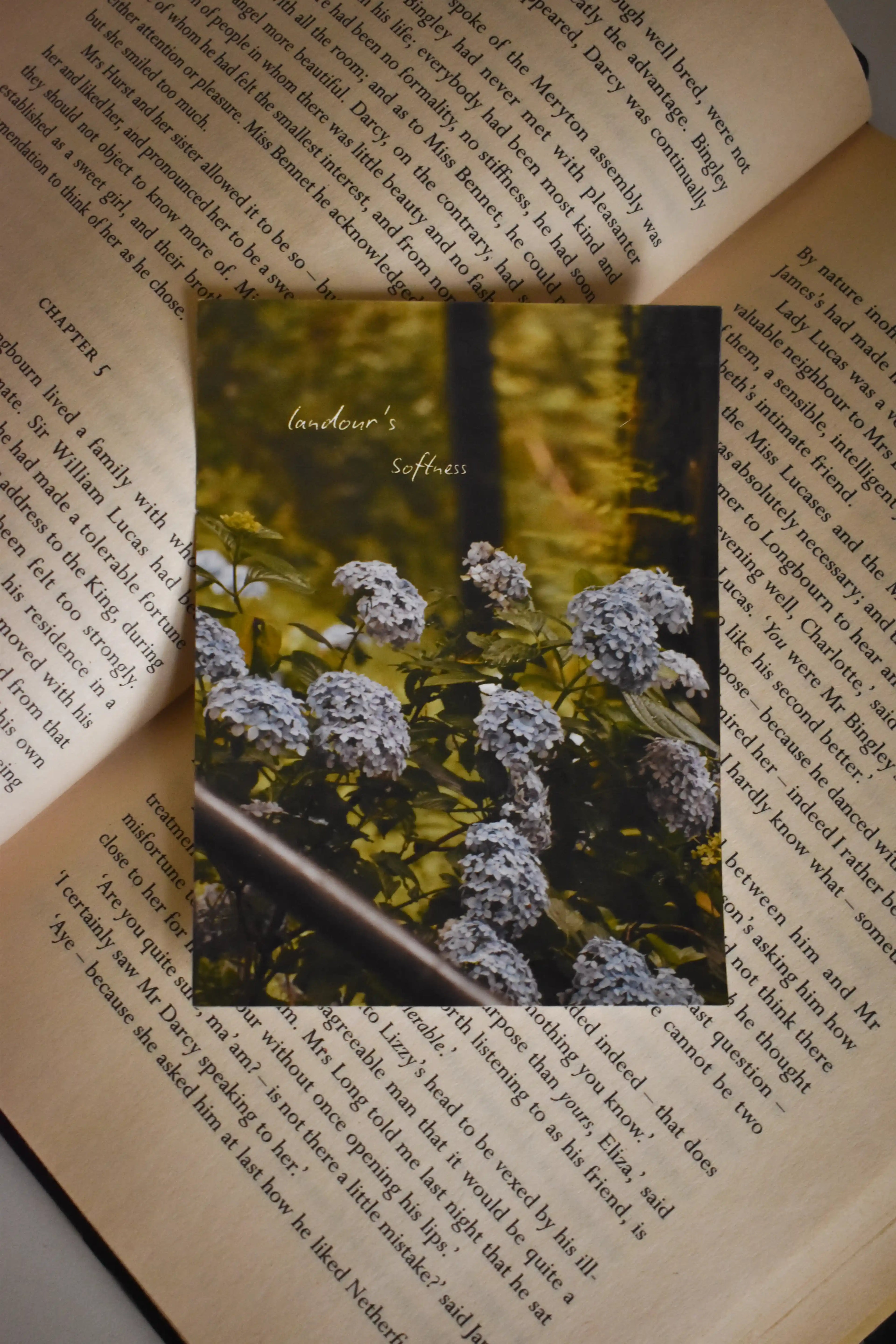 Angled display of the 'Landour's Softness' Hydrangea Photo Print tucked inside a classic novel, showcasing the vibrant fine art floral photography and nostalgic Himalayan aesthetic.