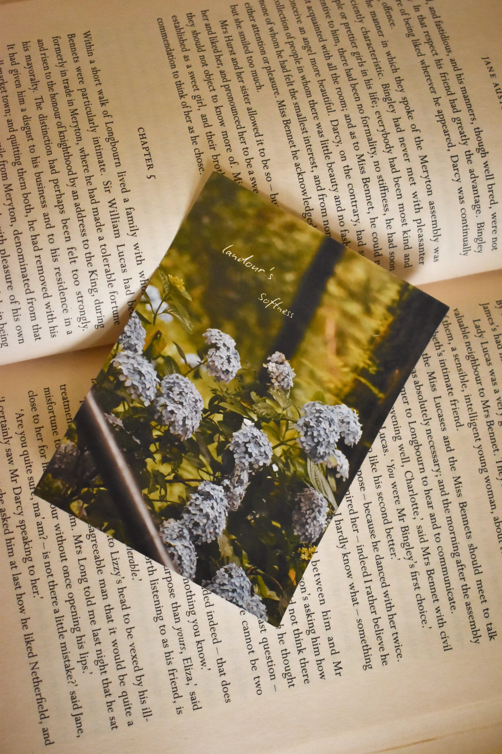 Front flat lay view of the 'Landour's Softness' Hydrangea Photo Print on the text-filled pages of an open vintage book, capturing the cottagecore charm of blooming blue hydrangeas.