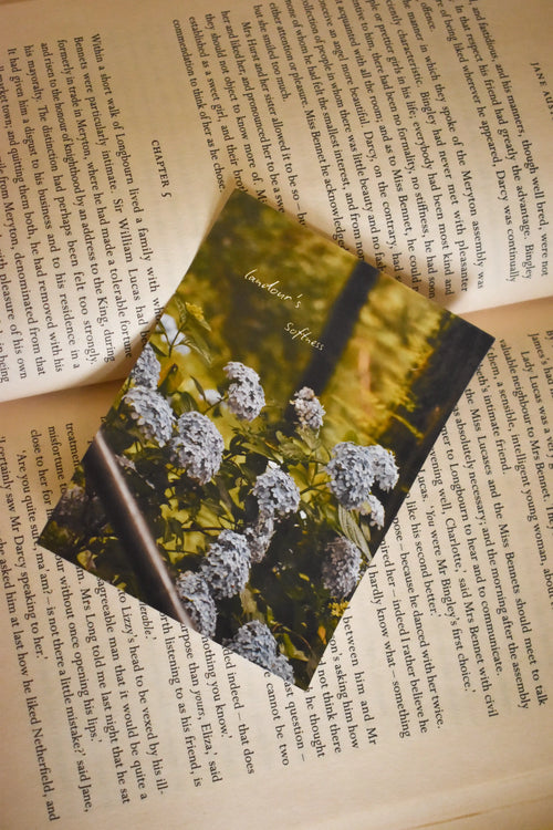 Front flat lay view of the 'Landour's Softness' Hydrangea Photo Print on the text-filled pages of an open vintage book, capturing the cottagecore charm of blooming blue hydrangeas.