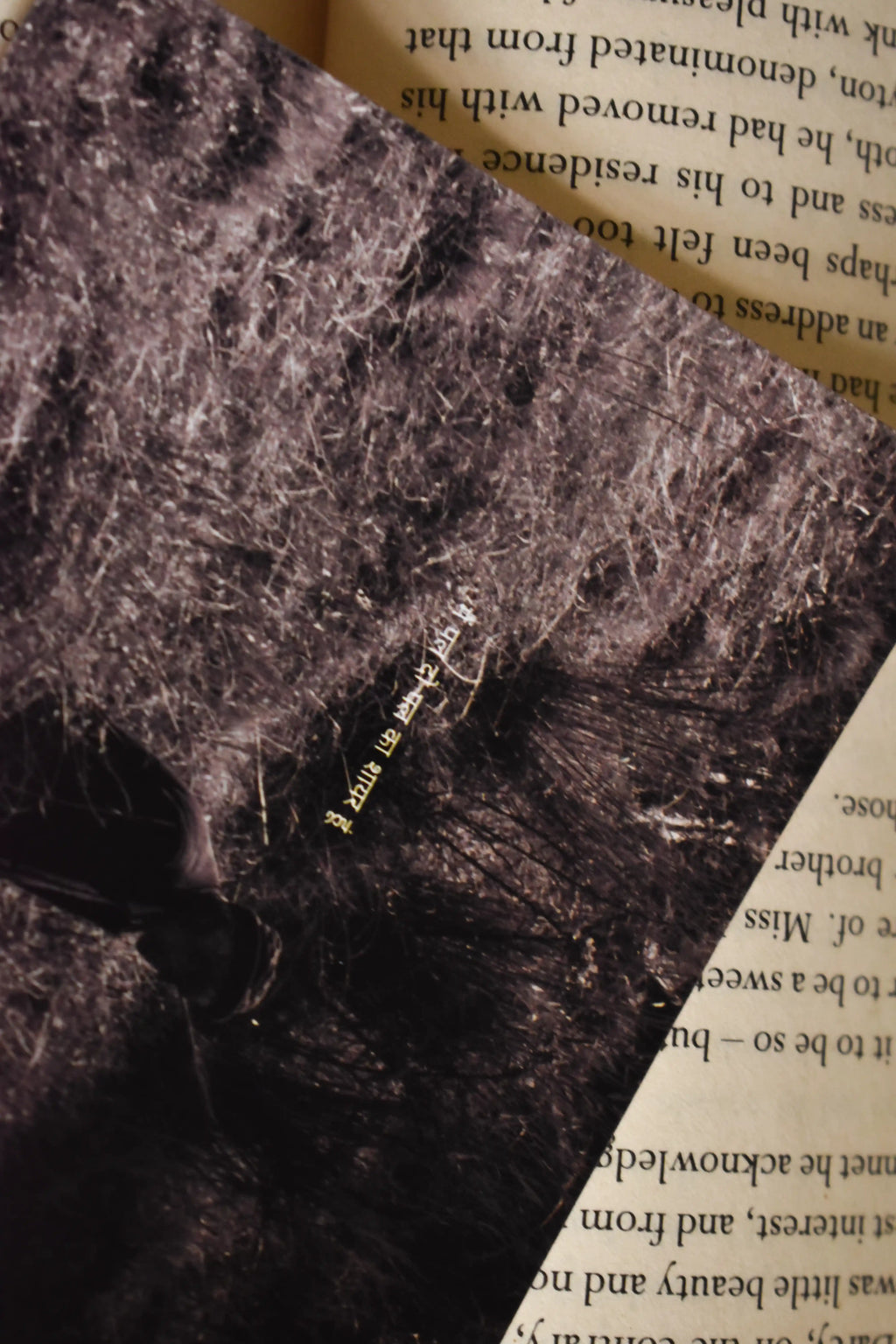 Macro detail shot of the Wisdom of the Hills Chakrata Portrait Photo Print highlighting the glossy finish, the Pahari elder's profile, and the delicate Hindi typography.