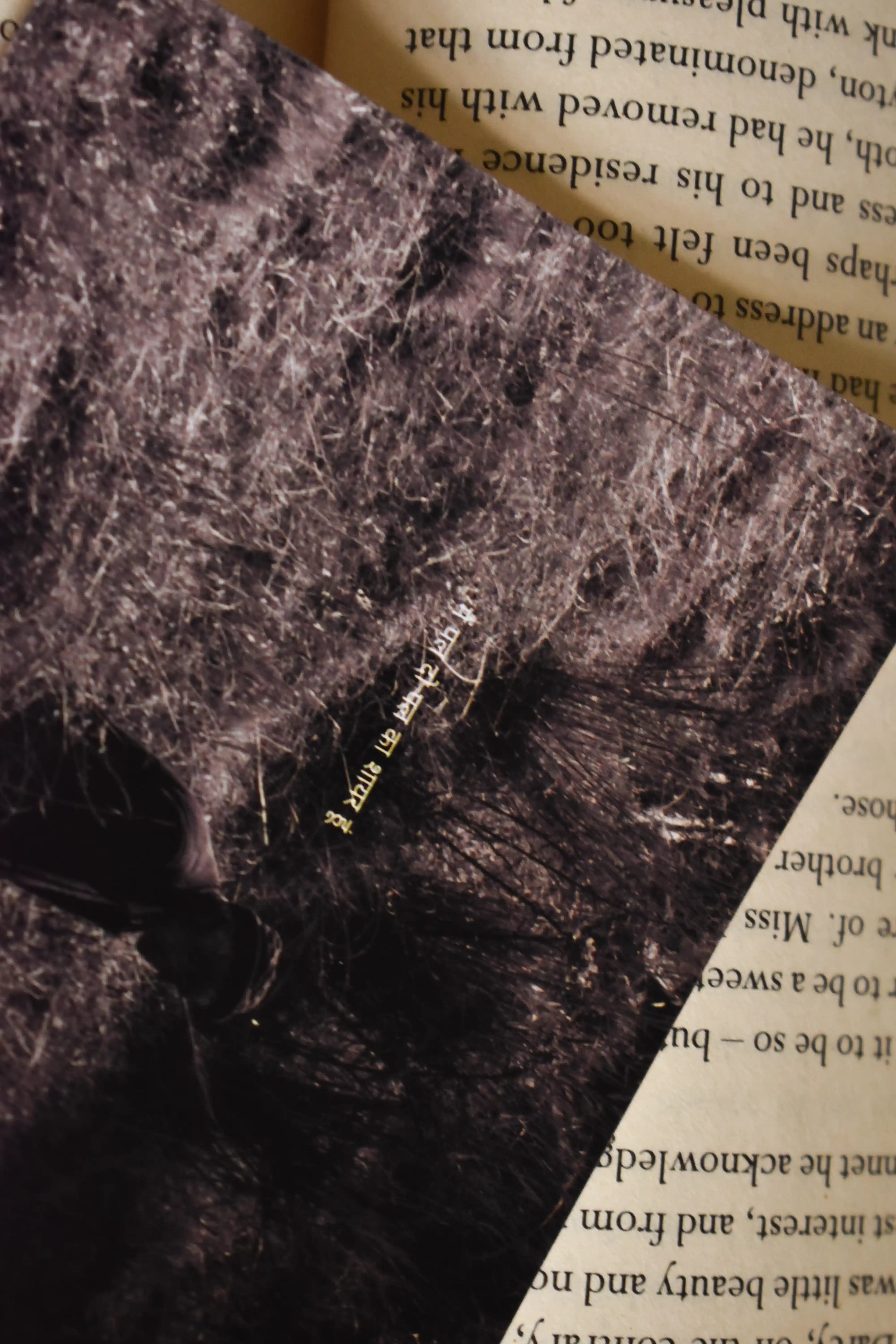 Macro detail shot of the Wisdom of the Hills Chakrata Portrait Photo Print highlighting the glossy finish, the Pahari elder's profile, and the delicate Hindi typography.