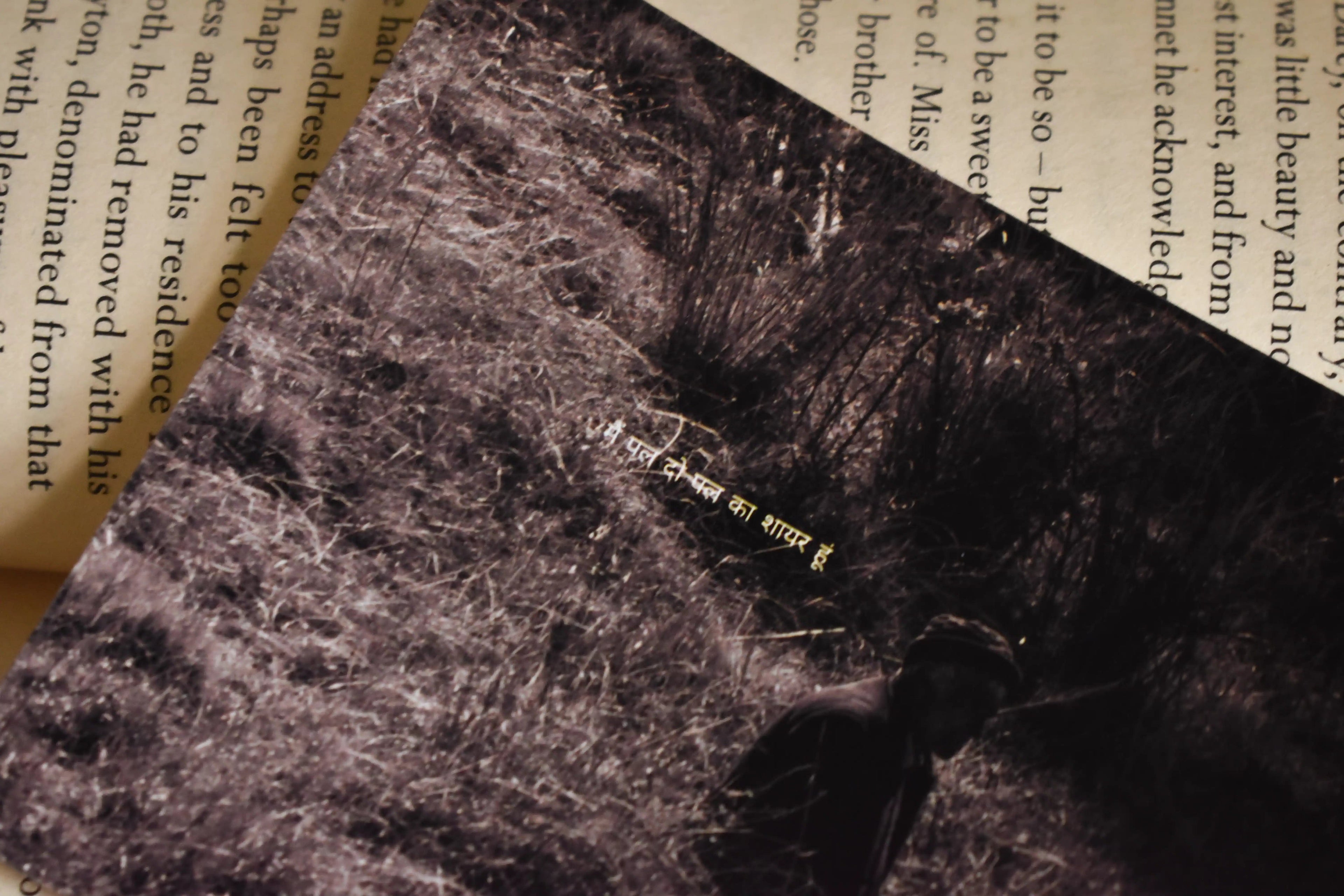 Macro detail shot of the Wisdom of the Hills Chakrata Portrait Photo Print highlighting the glossy finish, the Pahari elder's profile, and the delicate Hindi typography.