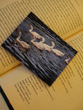 An open book holds a diagonal photo of four white geese with orange beaks swimming in dark rippling water.
