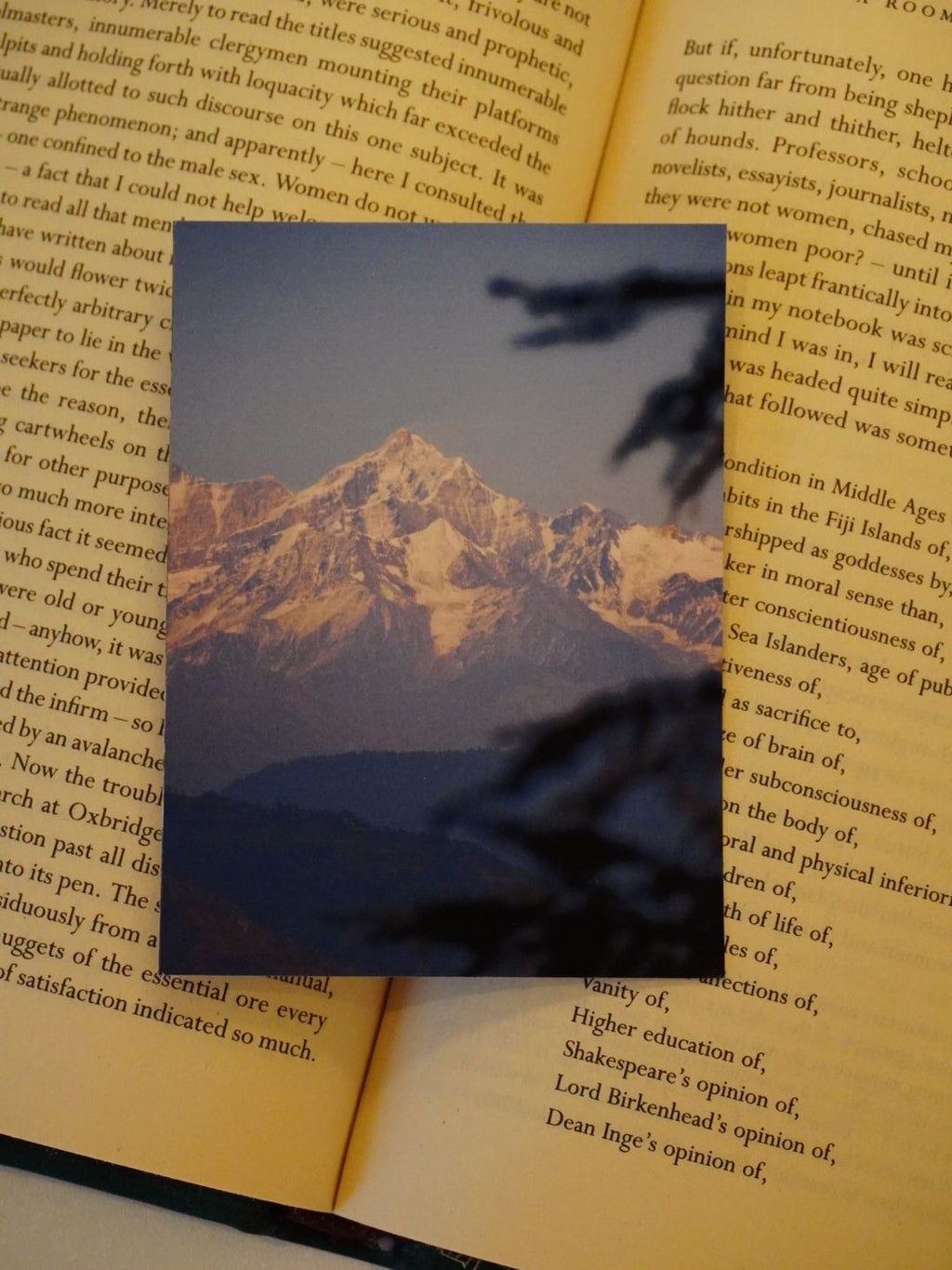 A detailed view of the Swans and Snow Peaks mountain print, showing a sunlit snowy peak framed by dark tree branches on an open book.