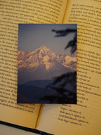 A detailed view of the Swans and Snow Peaks mountain print, showing a sunlit snowy peak framed by dark tree branches on an open book.
