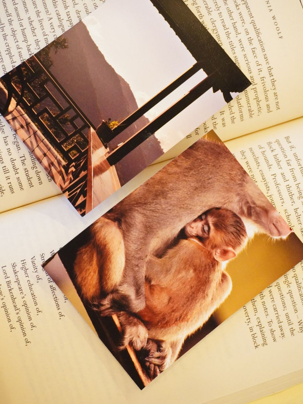 This image shows the Warm Embrace of Mountains photo print set on an open book, with a mountain landscape and a close-up monkey photograph.